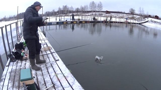 Платный пруд "Триал Русская рыбалка". Ловля форели на спиннинг зимой.