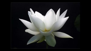 Е.П.Блаватская.Аудиофрагмент из теософских трудов