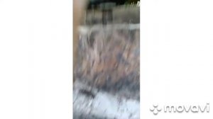 как поменять масло форд Мондео 3. FORD.