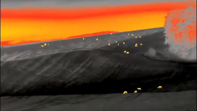 Pulsar telos xp50 lrf смотреть онлайн