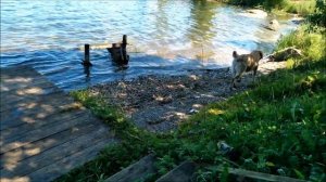 Встреча на Александровском пруду