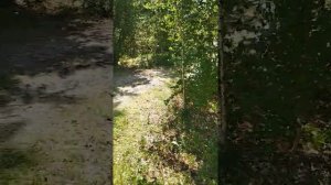База отдыха "У семи озёр" Челябинские озёра