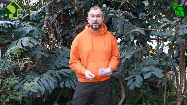 СКОРАЯ ПОМОЩЬ рассаде, орхидеям и всем растениям. Энергетический тоник для растений. смотреть онлайн