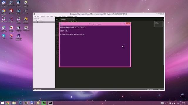 Программирование на Си. #11. Тип данных Short и маркеры в printf.