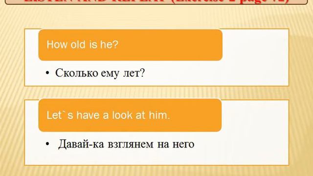 A visit to the vet. Посещение ветеринара. (УМК Spotlight 5) смотреть онлайн