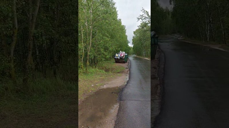 Сколько же Мусора!...