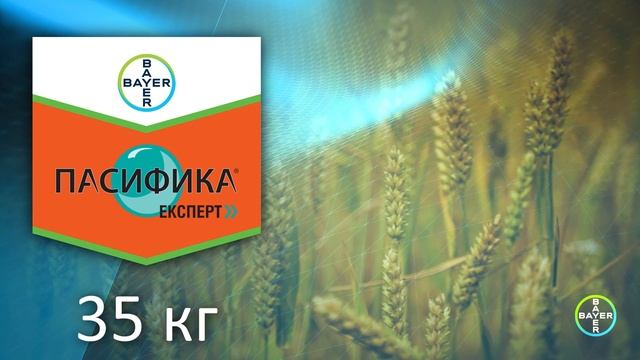 Пасифика Експерт + Децис- промоционално предложение в житни 2022г. смотреть онлайн