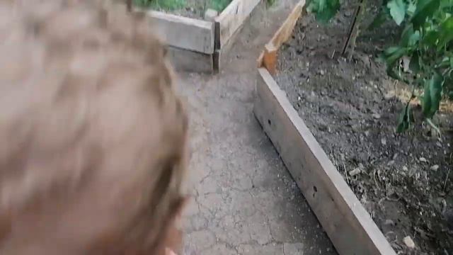 ВЛОГ! ПОДАРКИ И ГОСТИНЦЫ, В ДЕРЕВНЕ У СЕСТРЫ, ОТДЫХ С ДРУЗЬЯМИ/VLOG LIFE ЖИЗНЬ смотреть онлайн