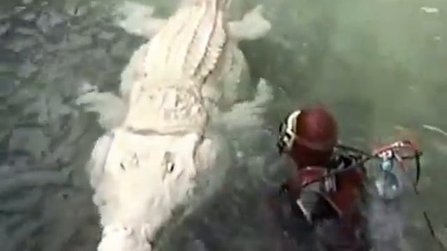 Джуманджи - съёмки смотреть онлайн