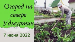 Огород в июне. Север Удмуртии. 2022.