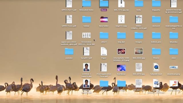 How to Crop a Screenshot on Macbook (2022)