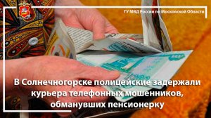 В Солнечногорске полицейские задержали курьера телефонных мошенников, обманувших пенсионерку