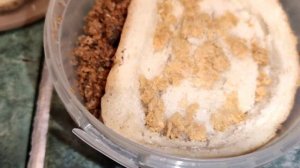 Черная львинка история жизни №2