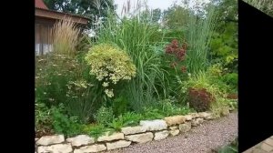 Садовые композиции с декоративными злаками