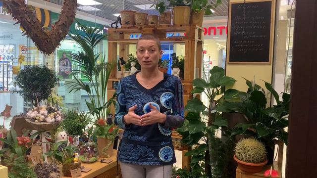 Хочу сказать вам... смотреть онлайн