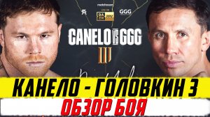 Обзор боя Геннадий Головкин - Канело 3