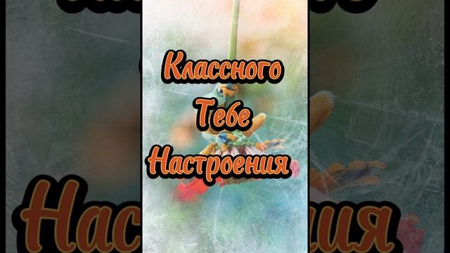 Хороших выходных