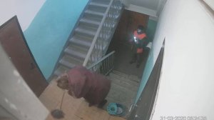 Мойка полов в подъездах Свиблово