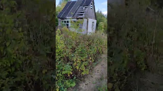 Затерянные дачи. Часть вторая. смотреть онлайн