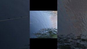 Выход на рыбалку