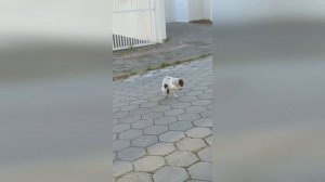 Я на работу с утра, понемножечку, помаленечку, по копеечке, по зёрнышку, по семечку.
