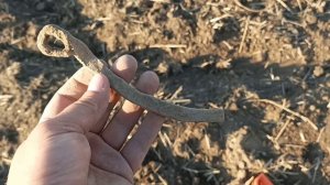 Поиски на металлоискатель! | Присоединяйтесь!