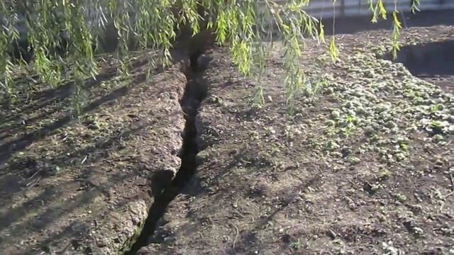 Водоём на приусадебном участке смотреть онлайн