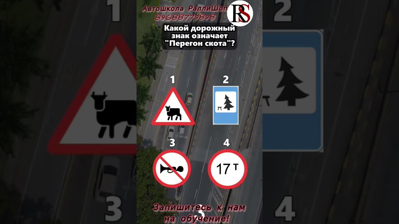 Автошкола"Ралли Шоп" ПДД #автошколамосква #автошкола #хочуправа  #хочуводить #пдд #классвождения