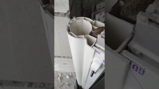 Эркерное окно от застройщика в ЖК Мытищи лайт