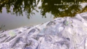 самое дешевое и простое средство для чистки пруда