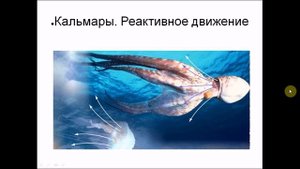 Движение. Биология 6 класс.