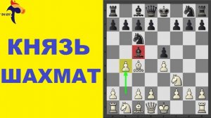 Урок шахмат. ГАМБИТ ЭВАНСА = АТАКА на короля. Школа шахмат d4-d5.