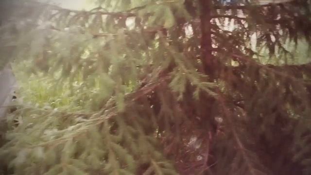 Селекция Мечурин смотреть онлайн