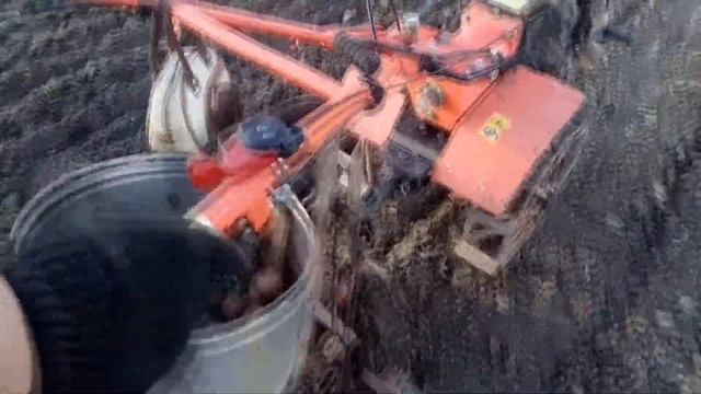 Посадка картофеля самодельной картофелесажалкой под мотоблок смотреть онлайн