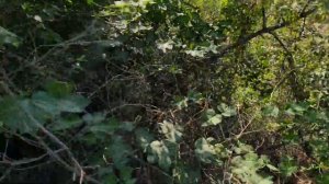 Слив воды с умывальника в частном доме без канализации из дешёвых средств.