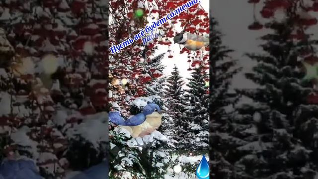 🎈Доброе Июльского Утро. С Добрым Утром и Хорошим Днём. Красивая Музыкальная Открытка. #6декабря