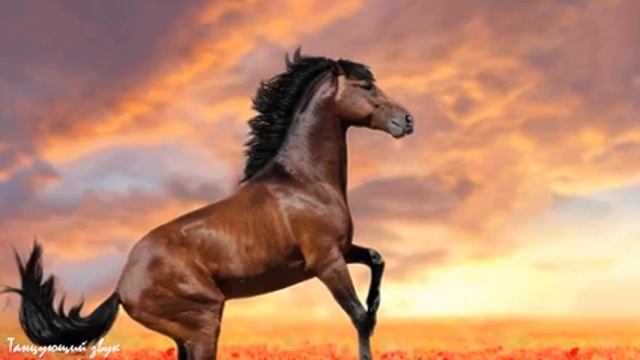 Музыка Сергей Грищук! Невероятно вдохновляющая и Бесконечно КРАСИВАЯ МУЗЫКА для души, релакс