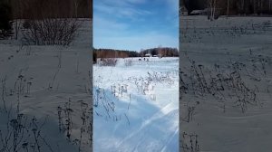 Мотобуксировщик Т-34?⛄ январские покатушки-прёт по любому снегу-бурановская 600 мм.