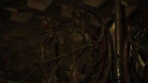 Ленивый турист. Усадьба Энгельгардтов. Выпуск 41