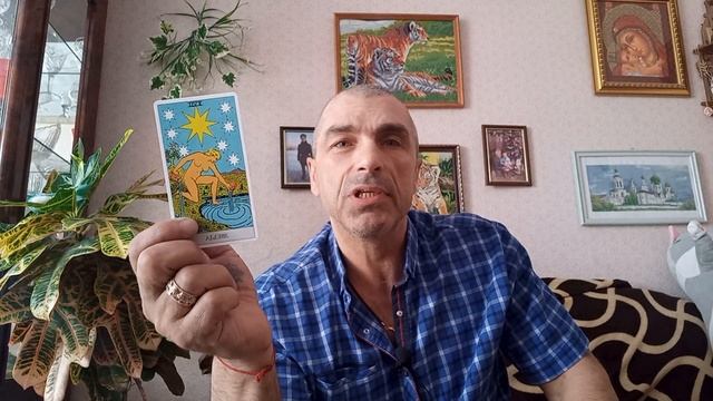 Карта дня. Звезда. значение...