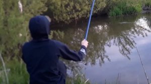 РЫБАЛКА ЛЕТОМ 2020 | ЛОВЛЯ КАРАСЯ НА ПОПЛАВОЧНУЮ УДОЧКУ УТРОМ | ТРАКТИР "ГЛАЗ ЖАБЫ" | 3 ЧАСТЬ