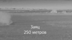 iRay DV Dp 09. Ночные тесты. (Без болтовни).