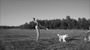 Паперный Т.А.М. Скажи легко!