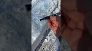 Сигнал охотника обзор установки для запуска.