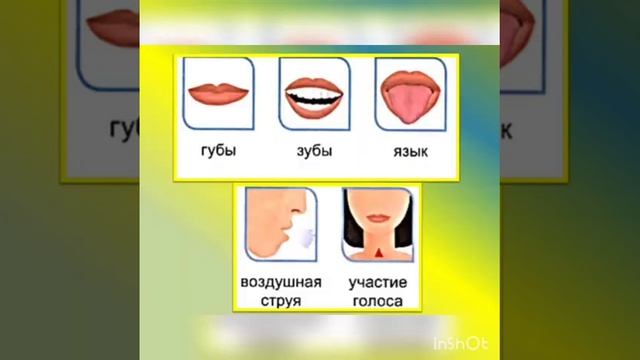 Что мы слышим и произносим?Звуки речи.Слова длинные и короткие. смотреть онлайн