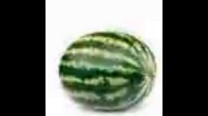 арбуз стоит под музыку 1 час