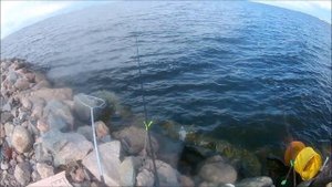 Рыбалка на финском заливе. Ловим на фидер.