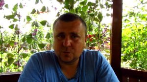 Сколько можна заработать на томатах!!!!