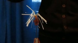 электрический султан