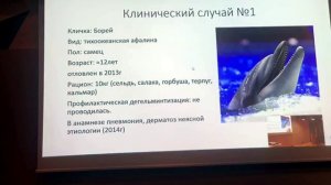 Гельминтозы китообразных - казнить нельзя помиловать